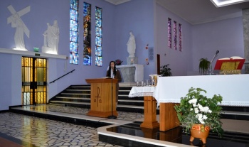 Festa de São Francisco de Assis