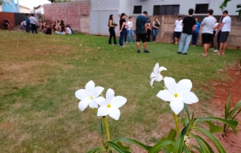 Encontro de Jovens Crismandos